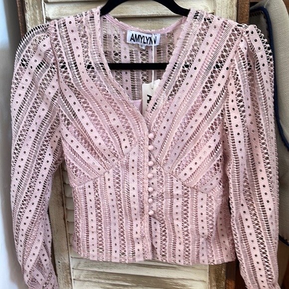 AmyLynn Pink Crochet Cutout Lace Long sleeve Cropped Lined Blouse small - Picture 1 of 11